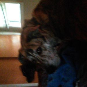 Meet your Posher, Raymond